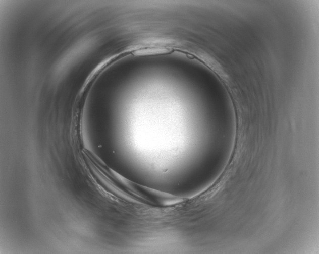 X0000065260912200602171451