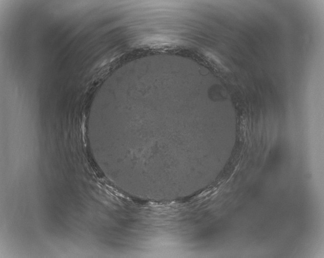 X0000065260917200602171450