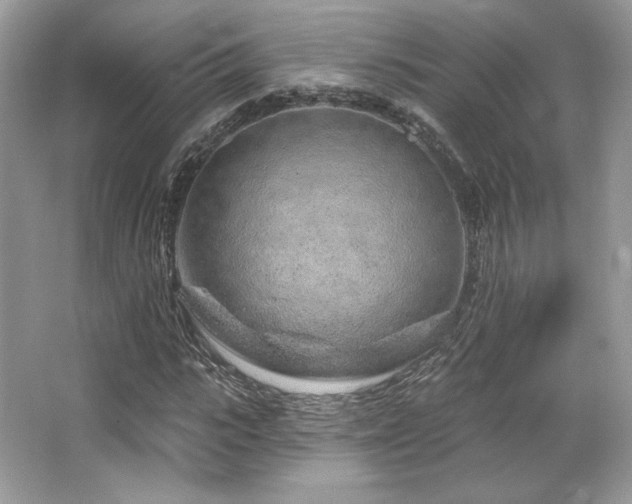 X0000065260919200602171450