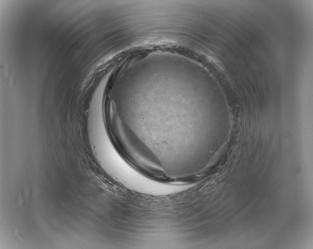 X0000065260920200602171450