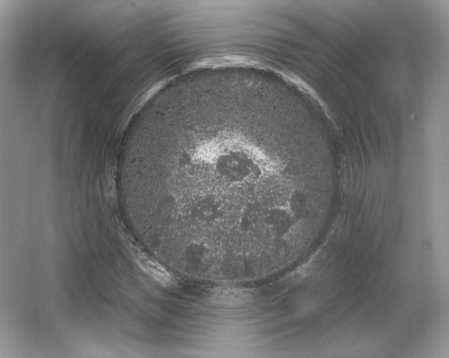 X0000065260921200602171450