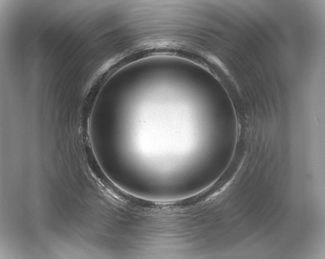 X0000065260922200602171450