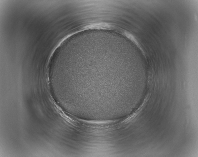 X0000065260923200602171450