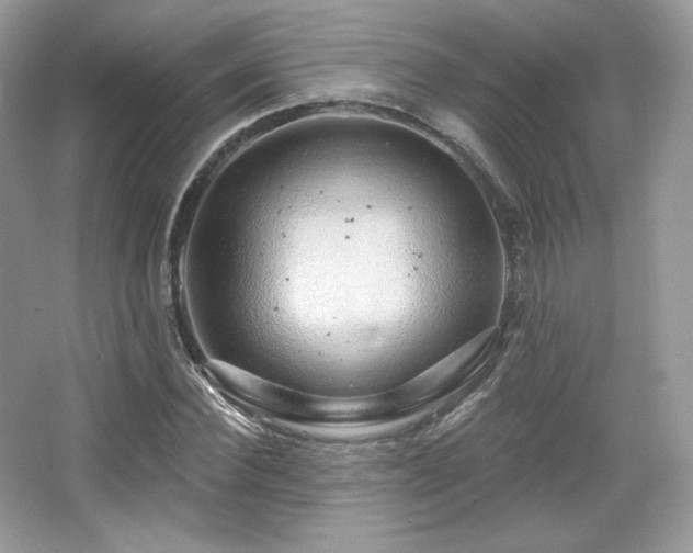 X0000065260924200602171450