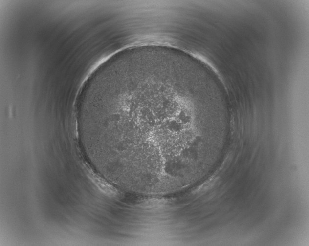 X0000065260925200602171450