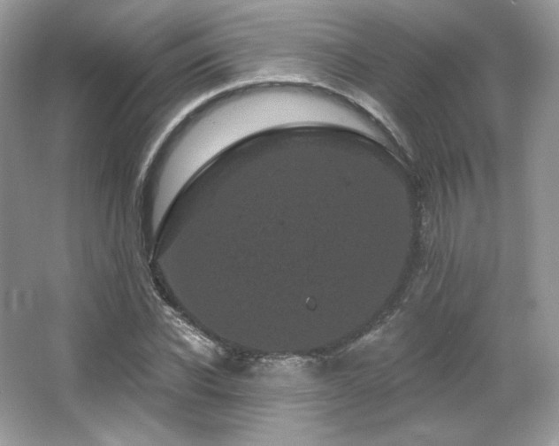 X0000065260926200602171450