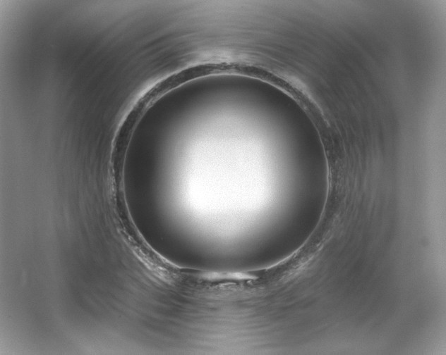 X0000065260927200602171450