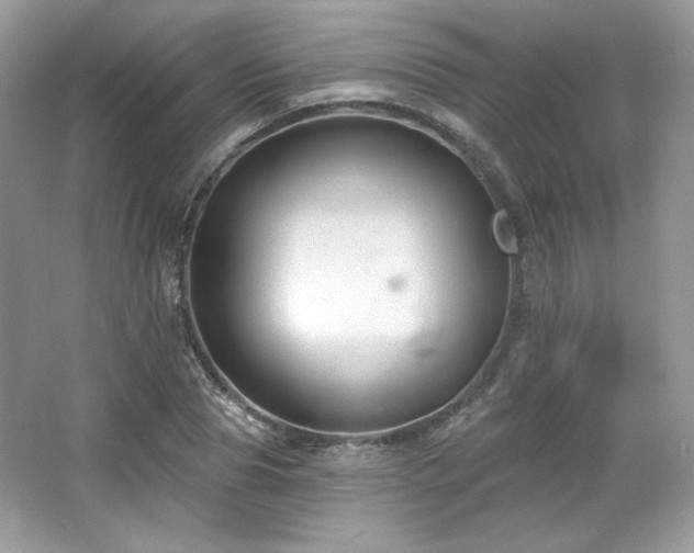 X0000065260929200602171450