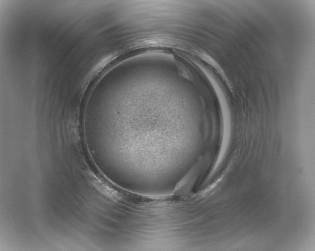 X0000065260930200602171450