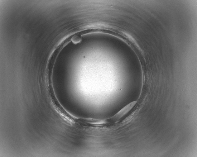 X0000065260931200602171450