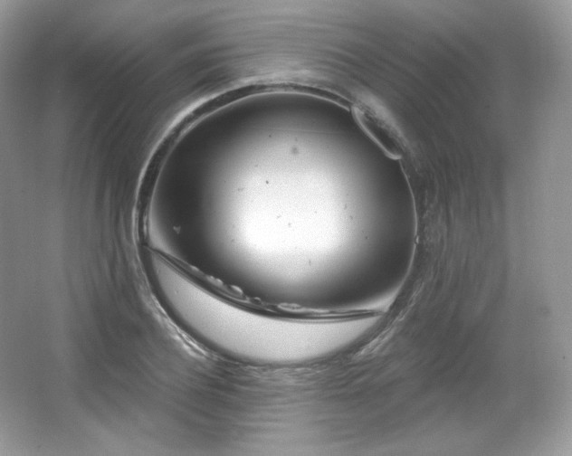 X0000065260932200602171450