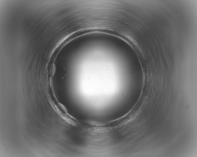 X0000065260933200602171450