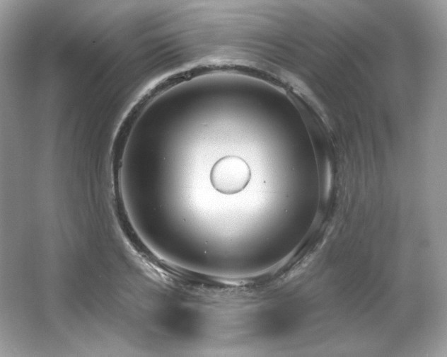 X0000065260934200602171451