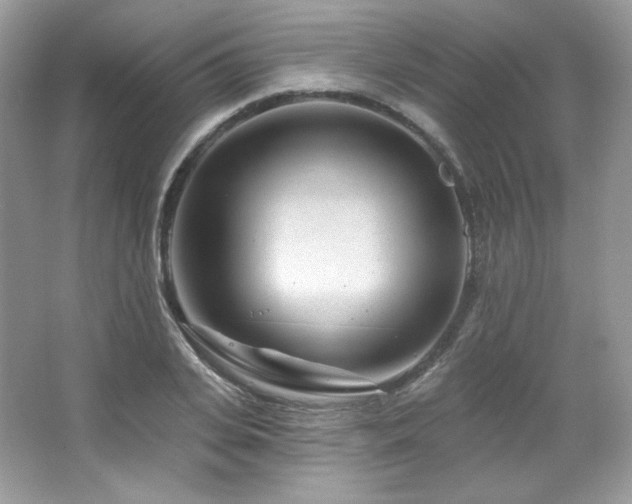 X0000065260935200602171451