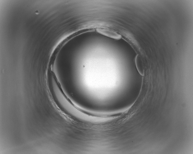 X0000065260936200602171451