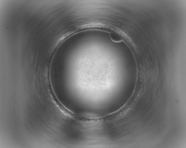 X0000065260937200602171451