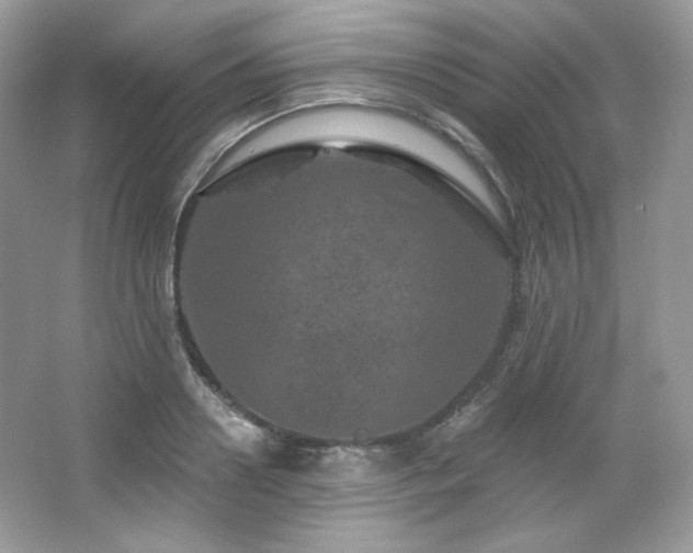 X0000065260938200602171451