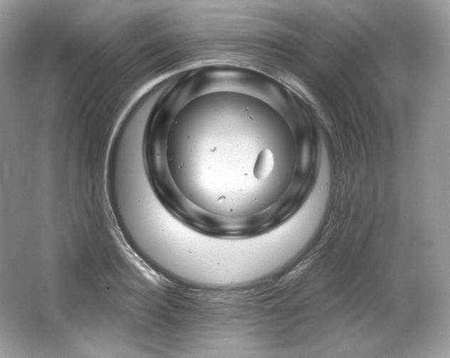 X0000065260940200602171451