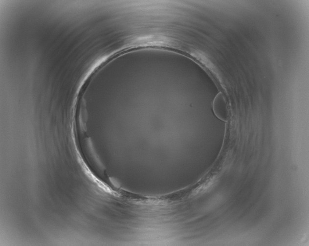 X0000065260941200602171451