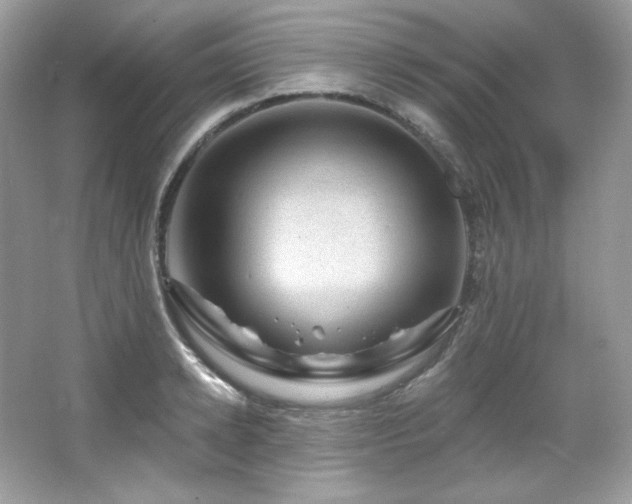 X0000065260942200602171451