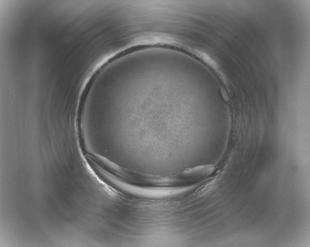 X0000065260943200602171451