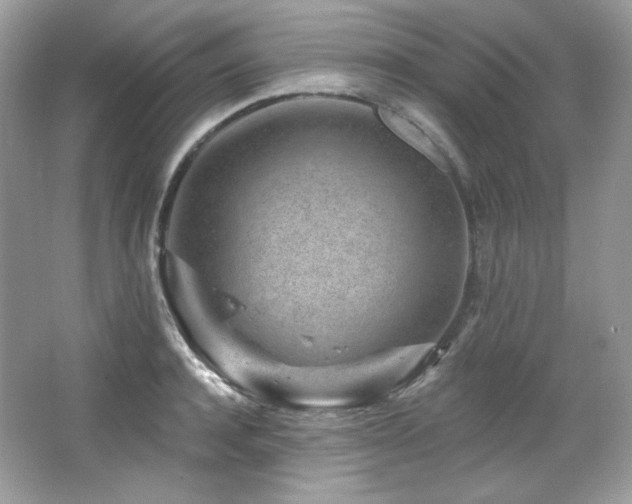 X0000065260944200602171451