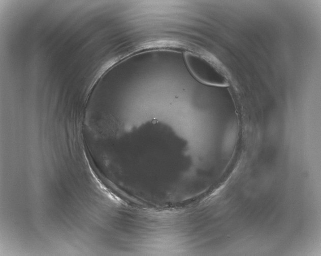 X0000065260945200602171451