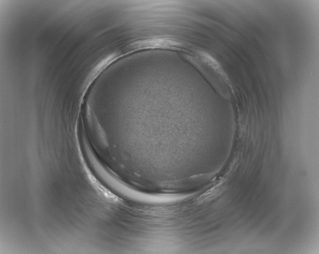 X0000065260946200602171451