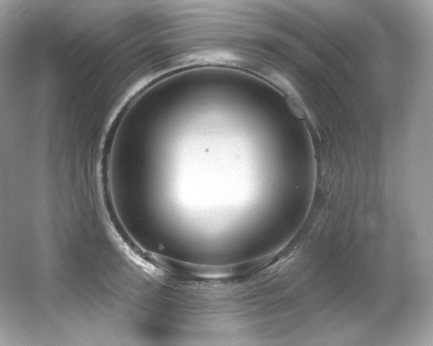 X0000065260947200602171451