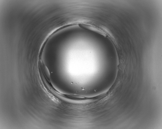 X0000065260948200602171451