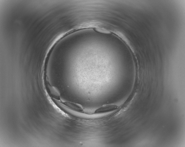 X0000065260949200602171451