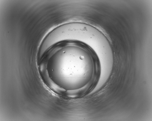 X0000065260950200602171451