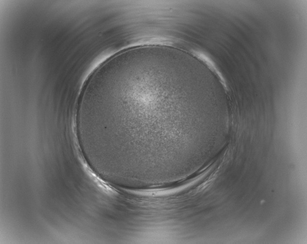 X0000065260952200602171451