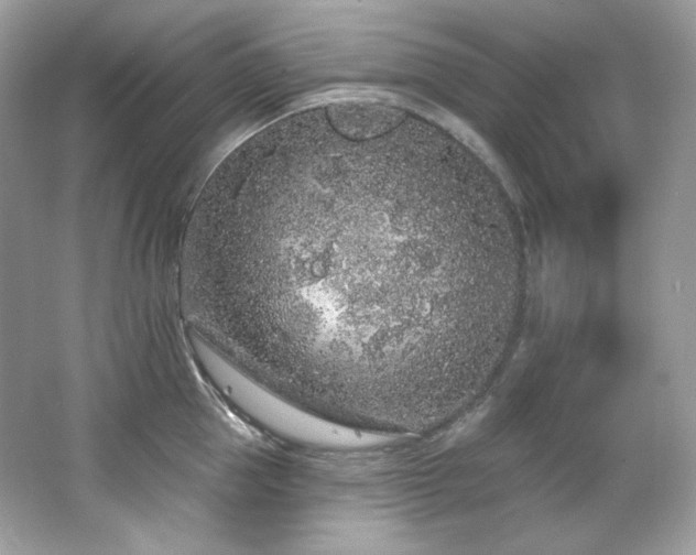 X0000065260953200602171451