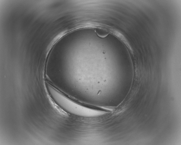 X0000065260954200602171451