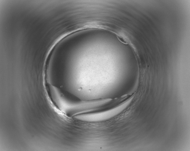 X0000065260955200602171451