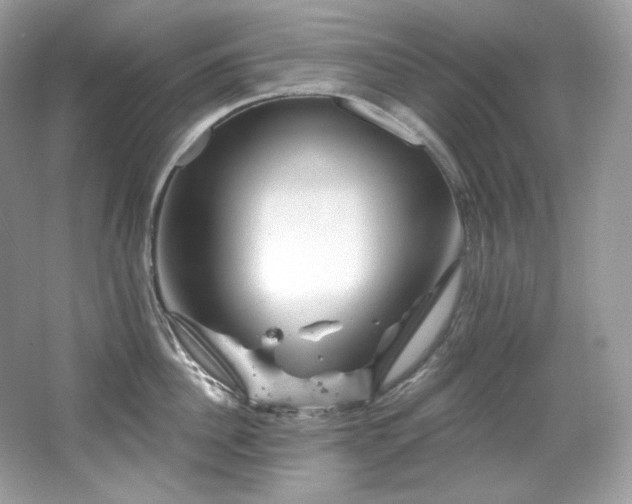 X0000065260956200602171451