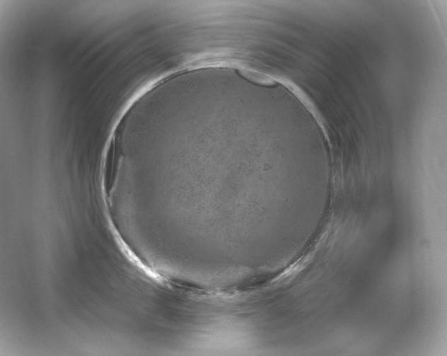 X0000065260957200602171451