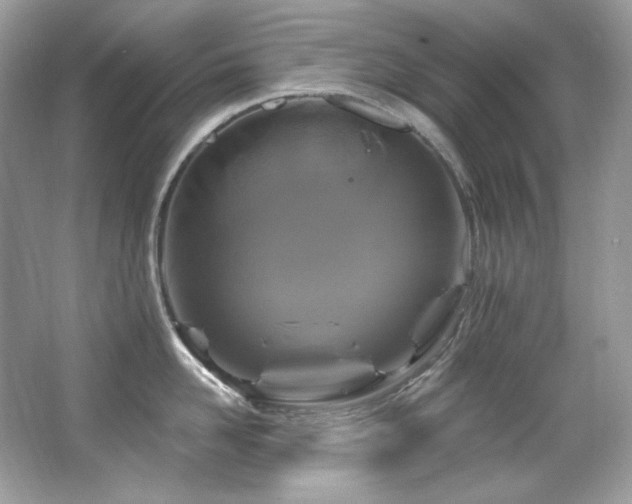 X0000065260958200602171451