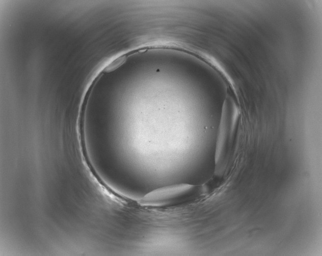 X0000065260959200602171451