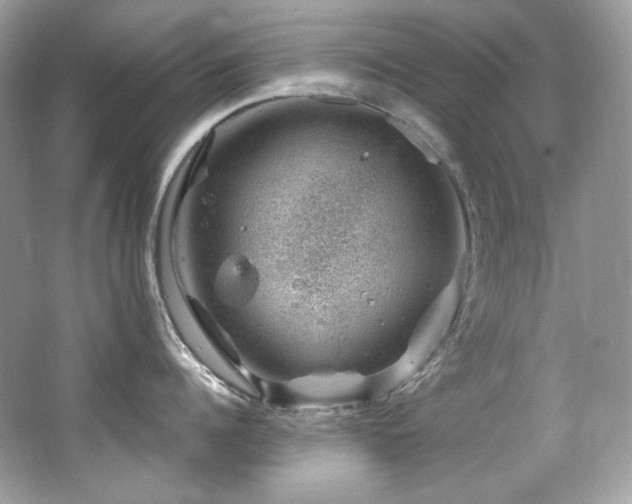 X0000065260960200602171451