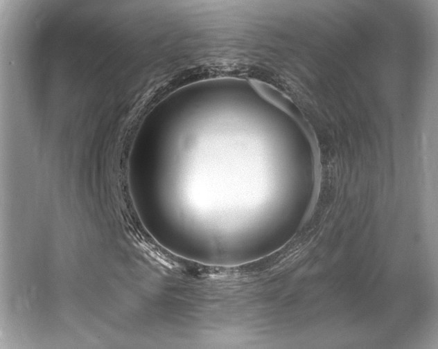 X0000065260961200602171450