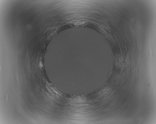 X0000065260962200602171450