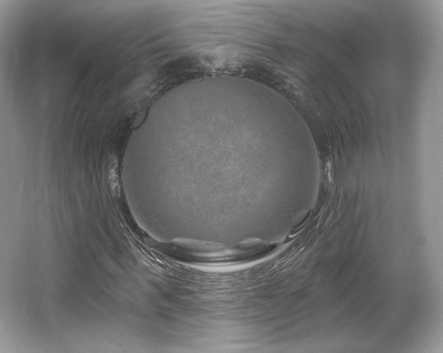 X0000065260963200602171450