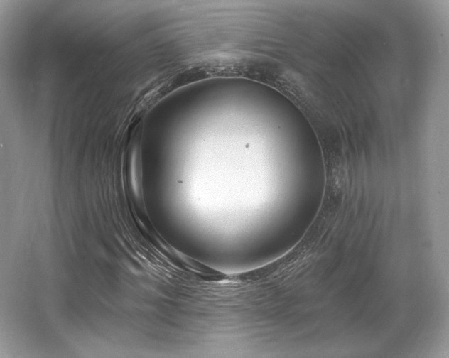 X0000065260964200602171450