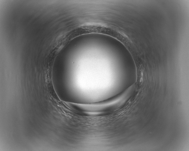 X0000065260965200602171450