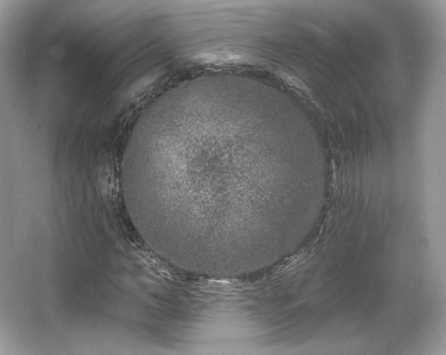 X0000065260966200602171450