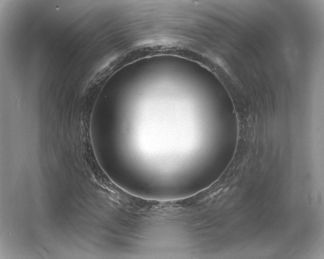 X0000065260967200602171450