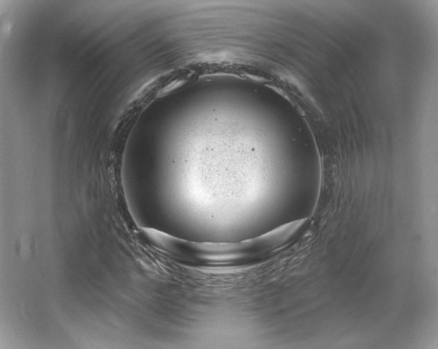 X0000065260968200602171450