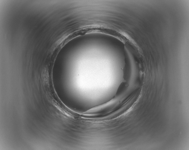 X0000065260969200602171450